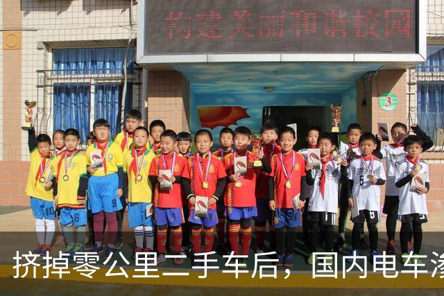 挤掉零公里二手车后，国内电车渗透率大幅下降