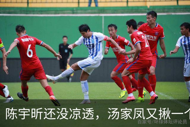 陈宇昕还没凉透，汤家凤又揪一个“精日”人员：竟然还是公司老板