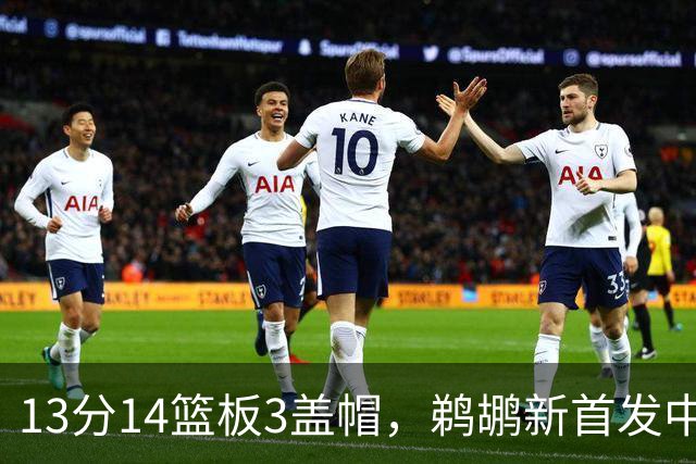 13分14篮板3盖帽，鹈鹕新首发中锋首秀交出两双
